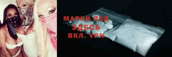 шишки Нязепетровск